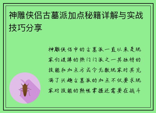 神雕侠侣古墓派加点秘籍详解与实战技巧分享